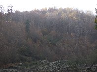 nte Fontane-201011107 007